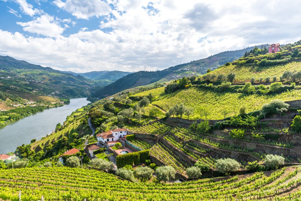 Vale do Douro